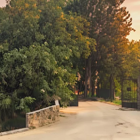 Acceso al Camping Cantapino