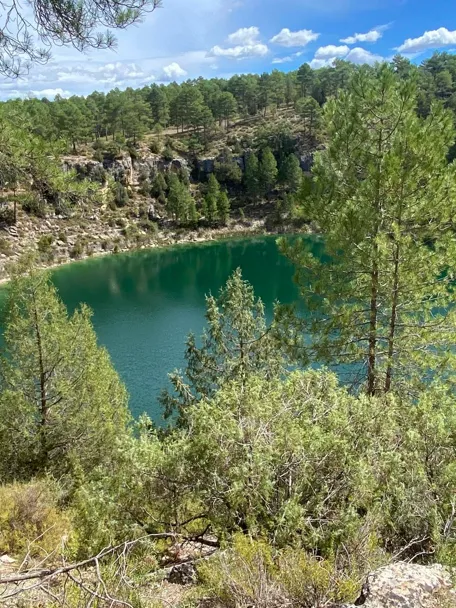 Laguna verde rodeada de pinar