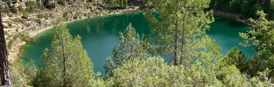 Laguna verde rodeada de pinar