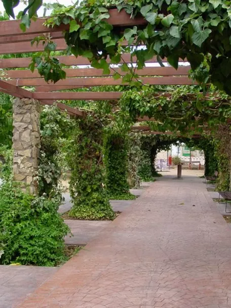 Paseo con columnas cubiertas de plantas