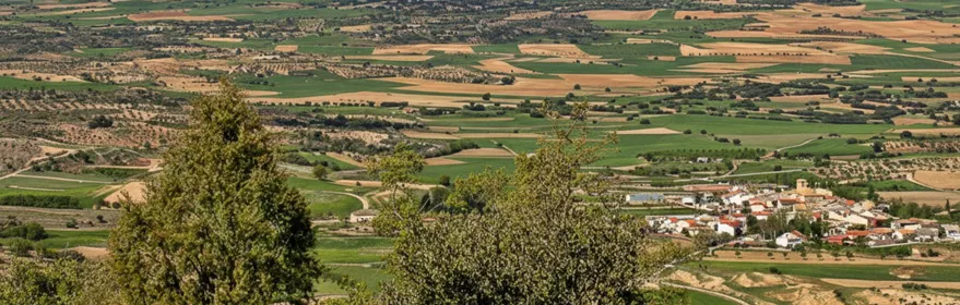 Vista panorámica de valle agrícola y sierras al fondo.
