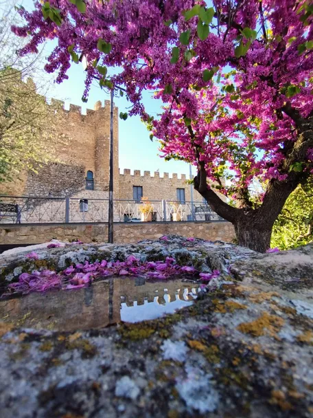 Vista del castillo de Carcelén acompañado de una preciosa buganvilla