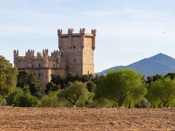Fortaleza medieval de piedra rodeada de árboles y campo abierto