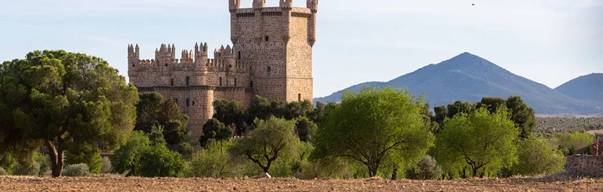 Fortaleza medieval de piedra rodeada de árboles y campo abierto