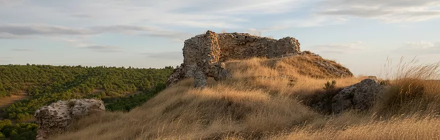 Ruinas de piedra en colina cubierta de hierba seca.