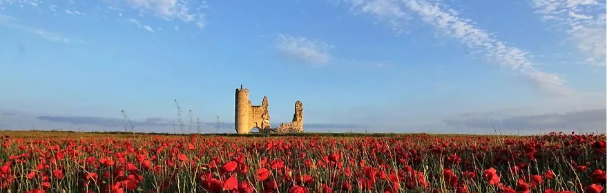 Ruinas de castillo al fondo de un campo de amapolas