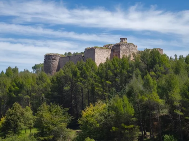 Castillo medieval sobre colina rodeado de pinos.