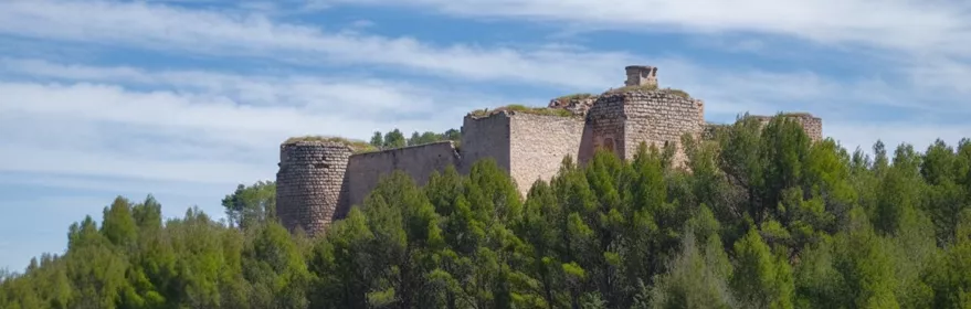 Castillo medieval sobre colina rodeado de pinos.