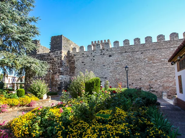 Castillo medieval y entorno histórico del pueblo.