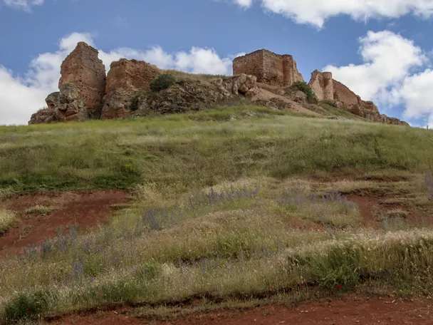 Ruinas de castillo medieval sobre una colina herbosa.