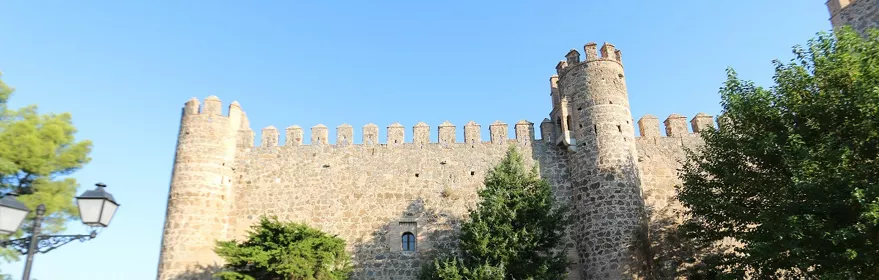 Fachada de piedra con torres y almenas junto a zona ajardinada.