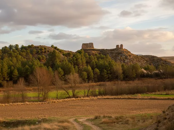 Colina con restos de torre entre campos y pinos.