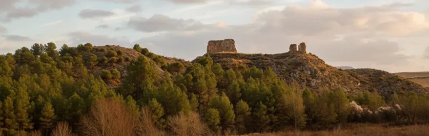 Colina con restos de torre entre campos y pinos.