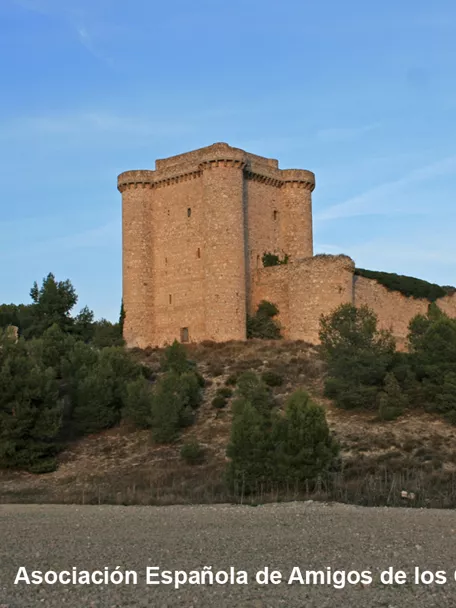 Castillo de piedra sobre cerro con pinos alrededor