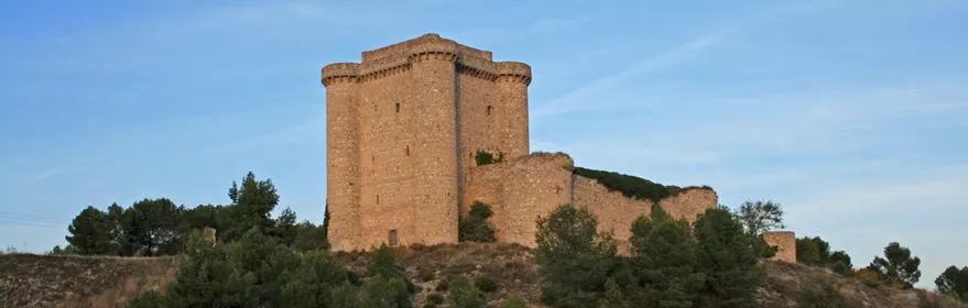 Castillo de piedra sobre cerro con pinos alrededor