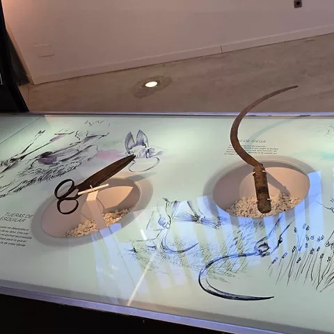 Exposición en el Centro de Interpretación del Parque Natural Serranía de Cuenca