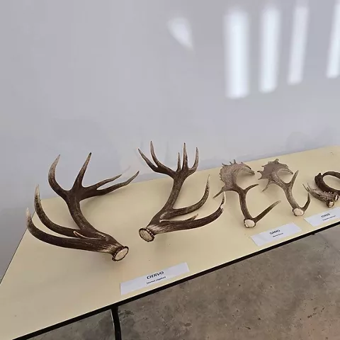 Fondos del Centro de Interpretación del Parque Natural Serranía de Cuenca