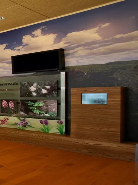 Sala expositiva con paneles informativos y elementos naturales.