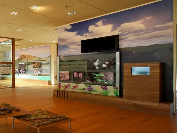 Sala expositiva con paneles informativos y elementos naturales.