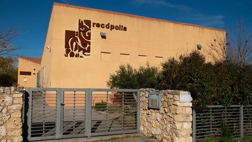 Centro de interpretación arqueológico.