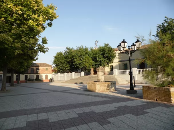 Plaza arbolada con fuente y pavimento de piedra