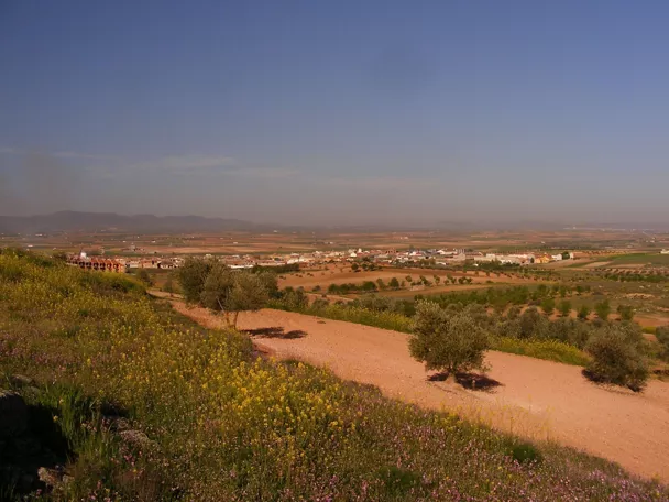 Paisaje agrícola con campos de cultivo y pueblo al fondo
