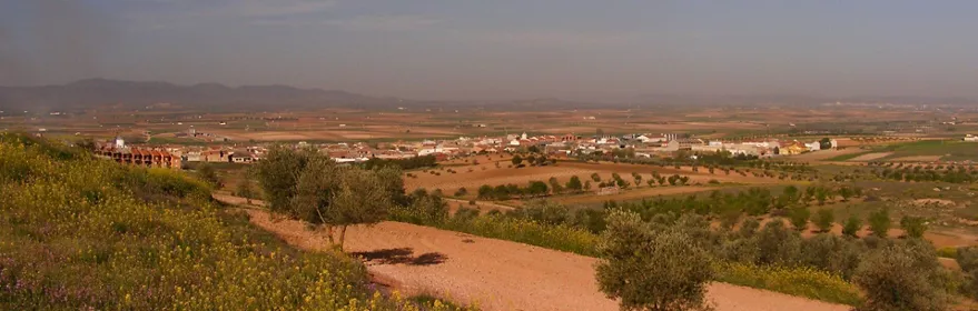 Paisaje agrícola con campos de cultivo y pueblo al fondo