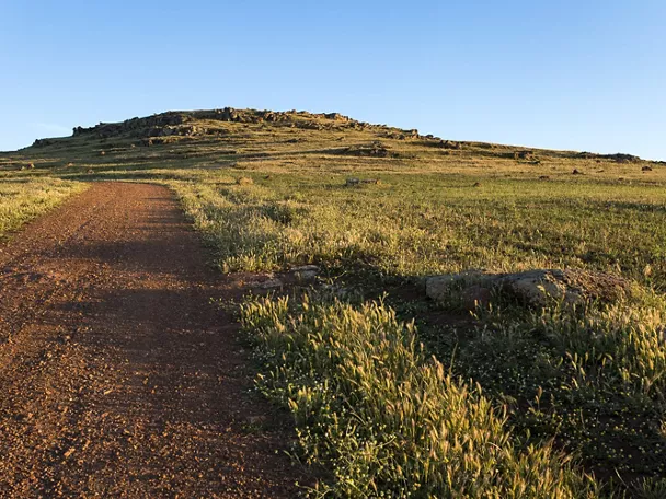 Sendero de tierra entre pradera y colina suave