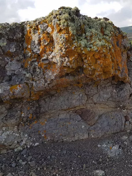 Afloramiento rocoso con líquenes sobre terreno volcánico