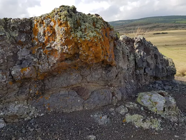 Afloramiento rocoso con líquenes sobre terreno volcánico