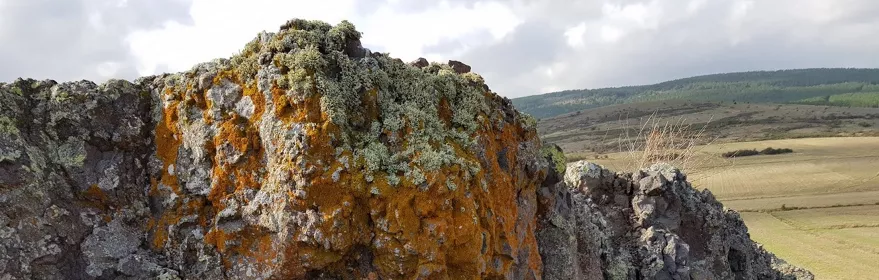 Afloramiento rocoso con líquenes sobre terreno volcánico