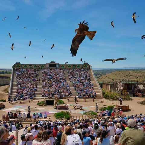 Puy du Fou España