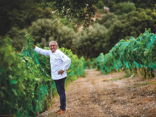 Hombre con chaqueta de cocinero entre hileras de viñedo
