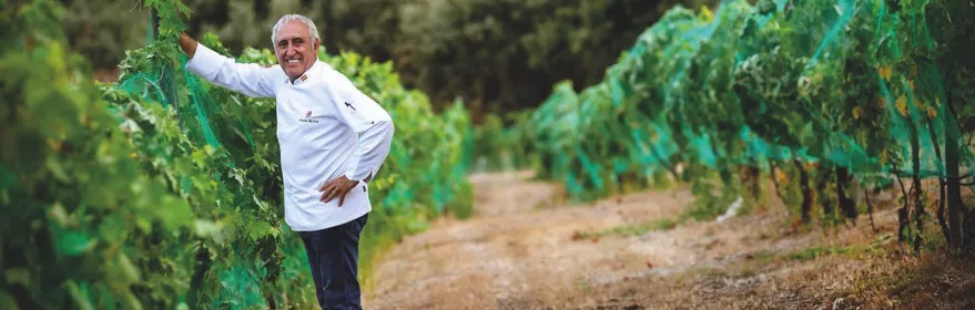 Hombre con chaqueta de cocinero entre hileras de viñedo