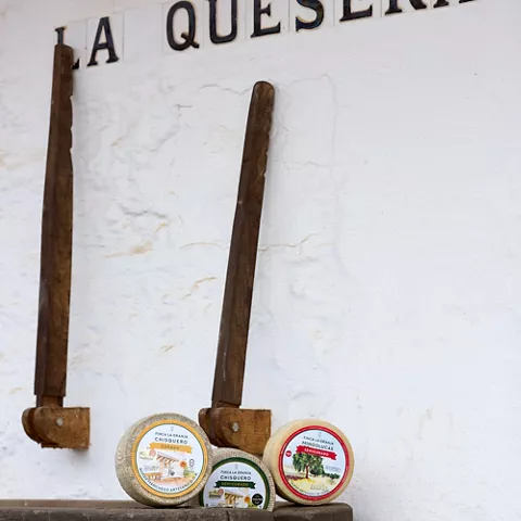 Detalle Queso