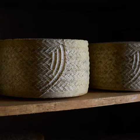 Detalle Queso Chisquero