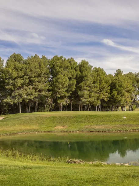 Green elevado junto a estanque con reflejo de árboles.
