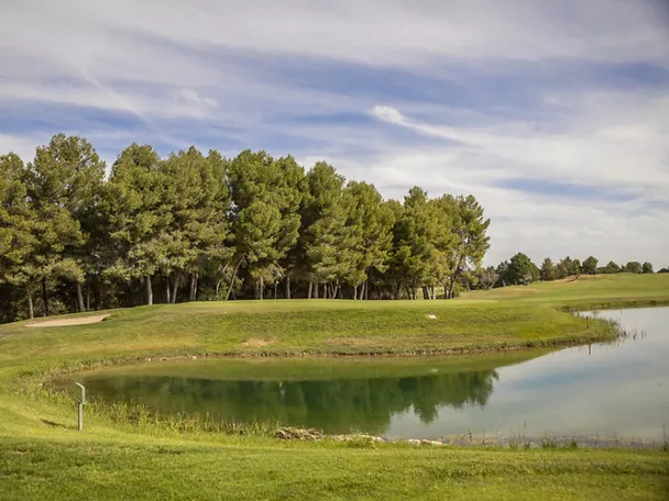 Green elevado junto a estanque con reflejo de árboles.