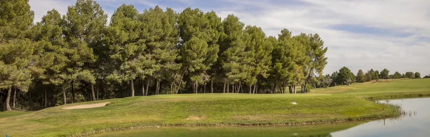 Green elevado junto a estanque con reflejo de árboles.
