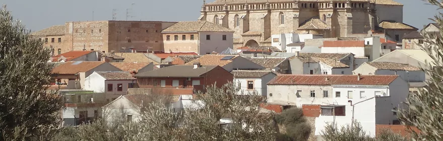 Vista panorámica de una iglesia sobresaliendo sobre las casas del pueblo