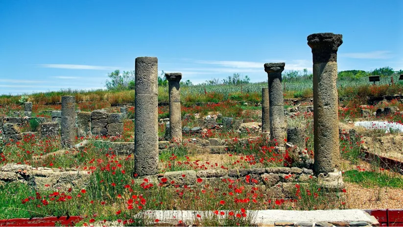 Columnas de piedra entre restos antiguos y flores silvestres