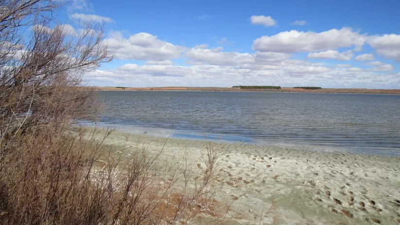 Orilla de laguna con agua tranquila y vegetación seca