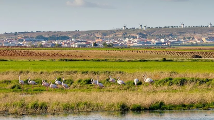 Complejo lagunar de Manjavacas