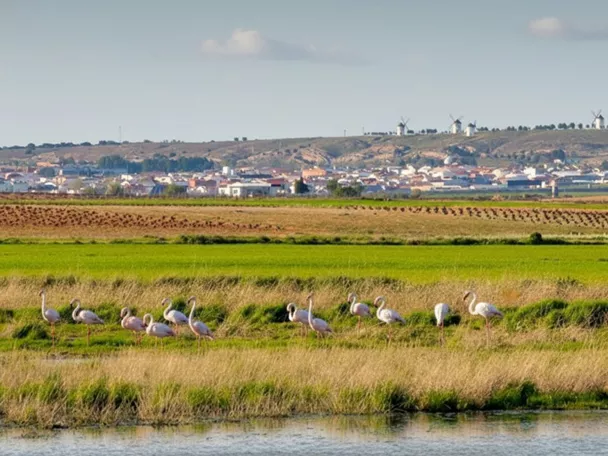 Complejo lagunar de Manjavacas