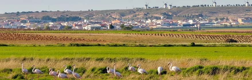 Complejo lagunar de Manjavacas