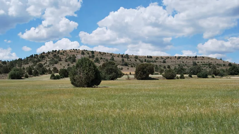 Praderas naturales en paisaje de montaña.