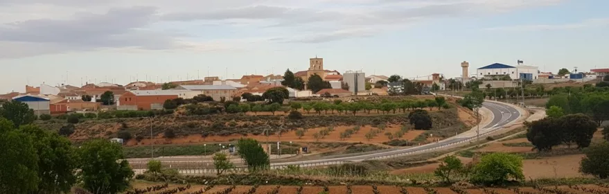 Viñedos junto a núcleo urbano
