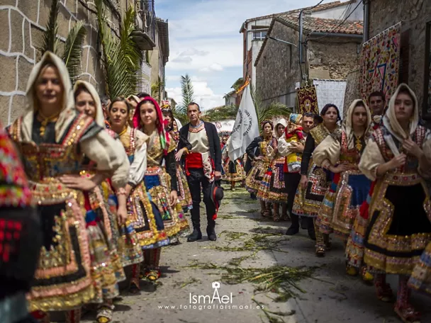 Grupo con trajes tradicionales avanza por una calle engalanada