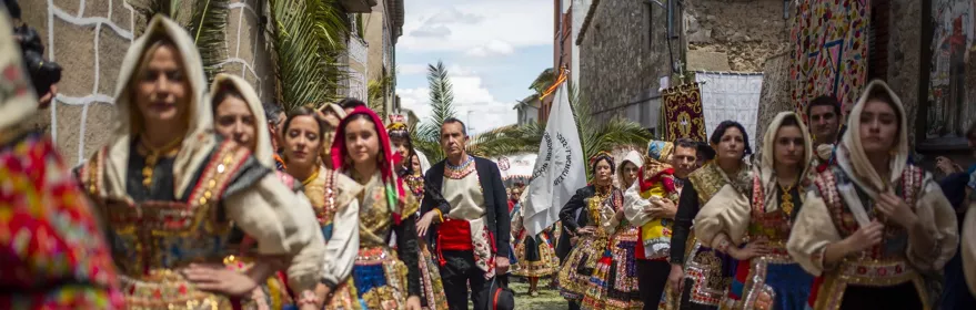 Grupo con trajes tradicionales avanza por una calle engalanada