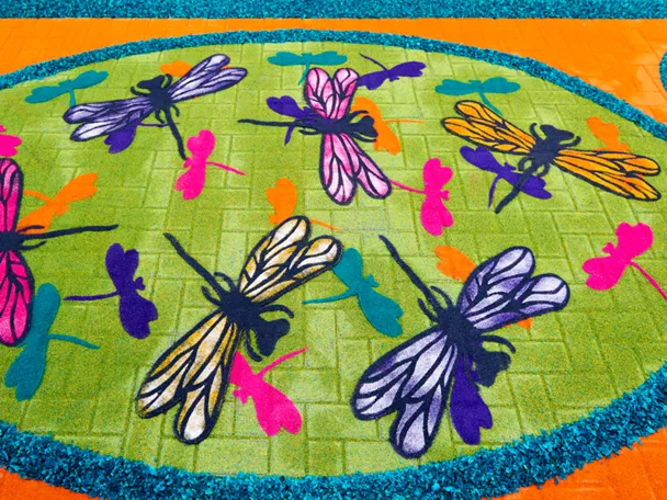 Detalle de insectos de una de las alfombras de serrín de Elche de la Sierra